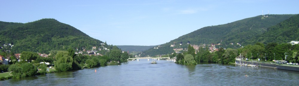 Heidelberg Summer